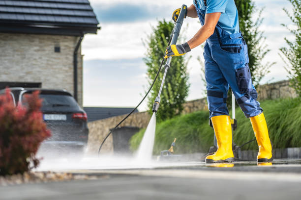 Professional  Pressure Washing Services in Lake Alfred, FL